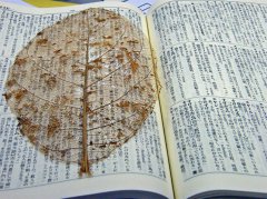 收购社交书签服务 